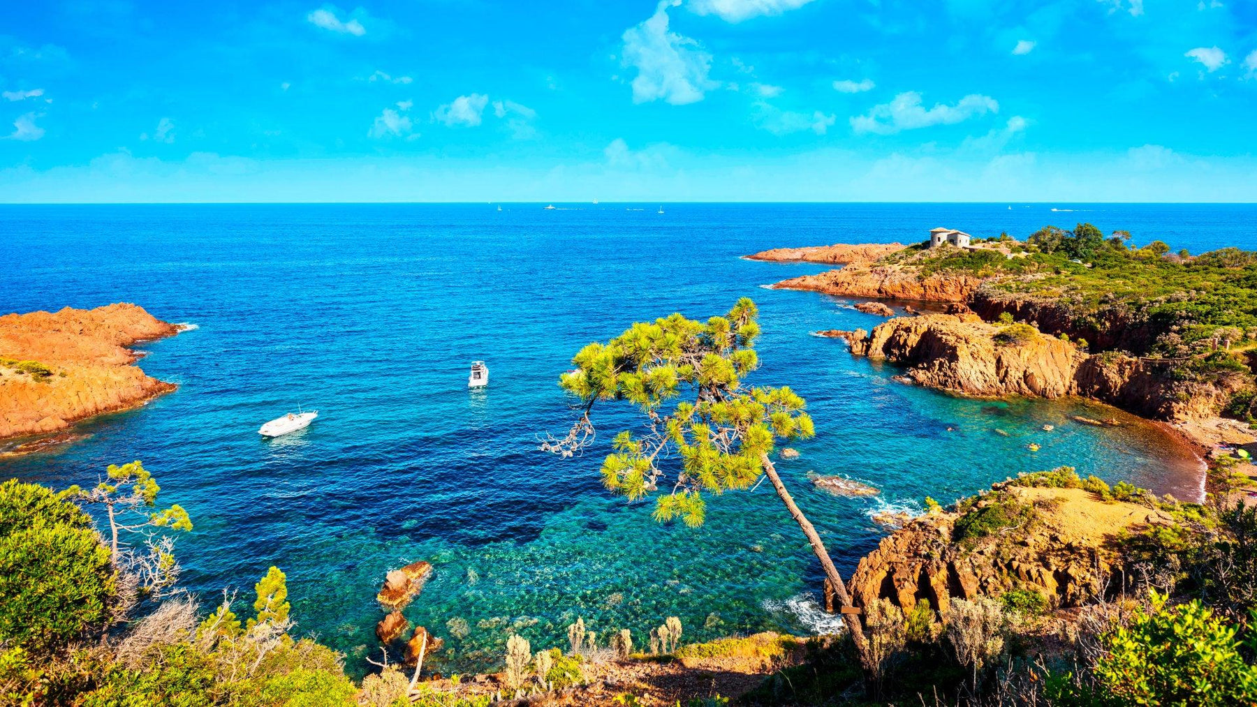 Explorer les parcs marins en France : L'aventure en bateau semi-rigide - ORCA Retail by Pennel & Flipo