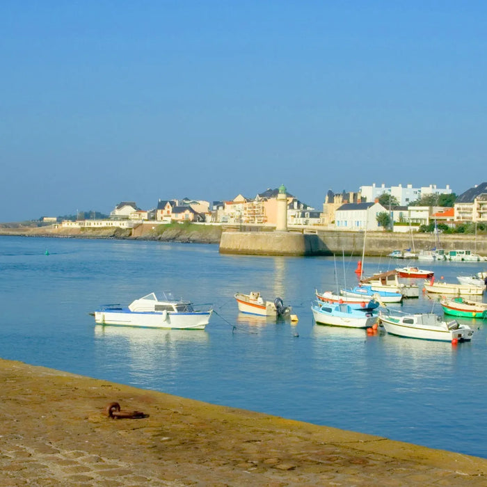 Réparateurs de Zodiac et Semi-Rigides Vendée