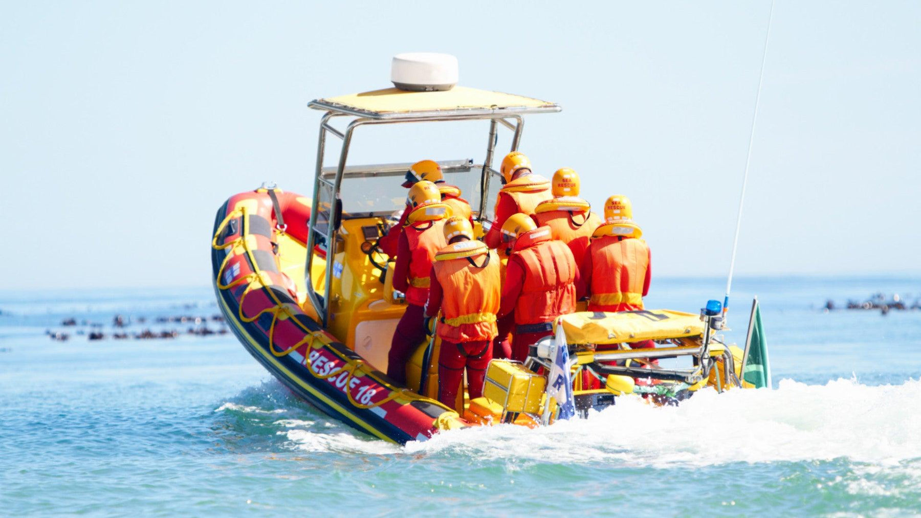 Sauvetage en mer : l'importance des semi-rigides de type Zodiac