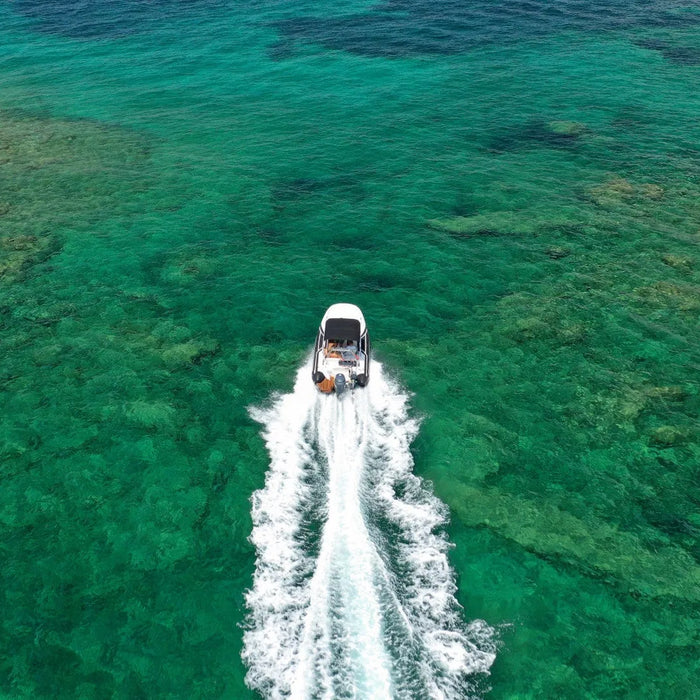 Les meilleures sorties en mer à faire en semi-rigide en France