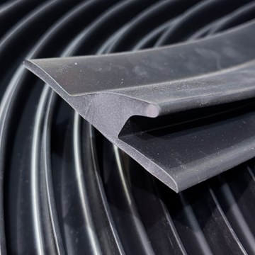 16 Meter - Haai Zwart